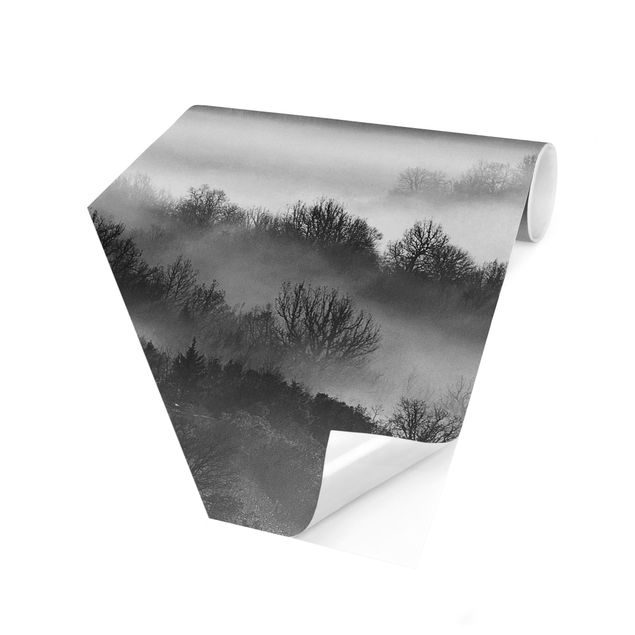 Papier peint forêt Brouillard au coucher du soleil Noir et Blanc