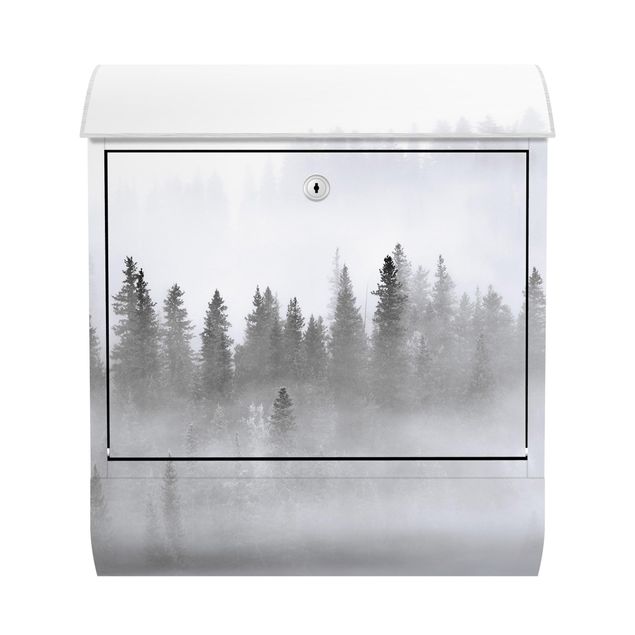 Boites aux lettres avec paysage Brouillard Dans La Forêt De Sapins Noir Et Blanc