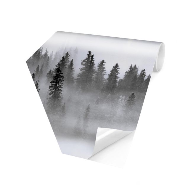 papier peint xxl Brouillard Dans La Forêt De Sapins Noir Et Blanc