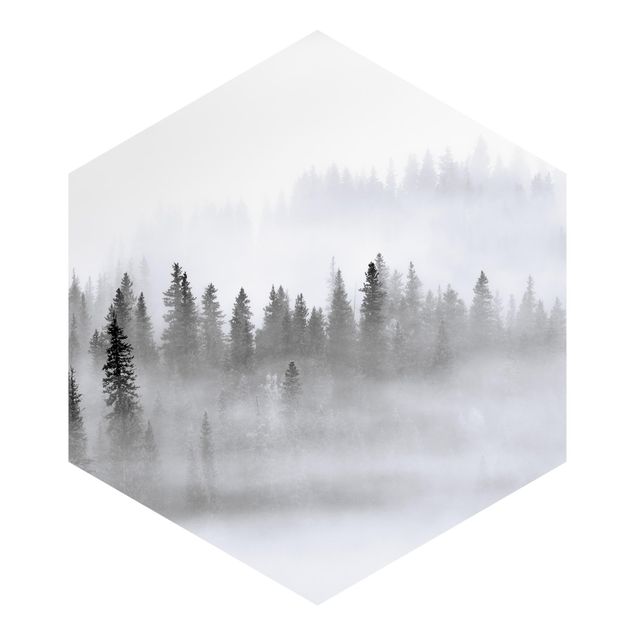 Papier peint hexagonal autocollant avec dessins - Fog In The Fir Forest Black And White