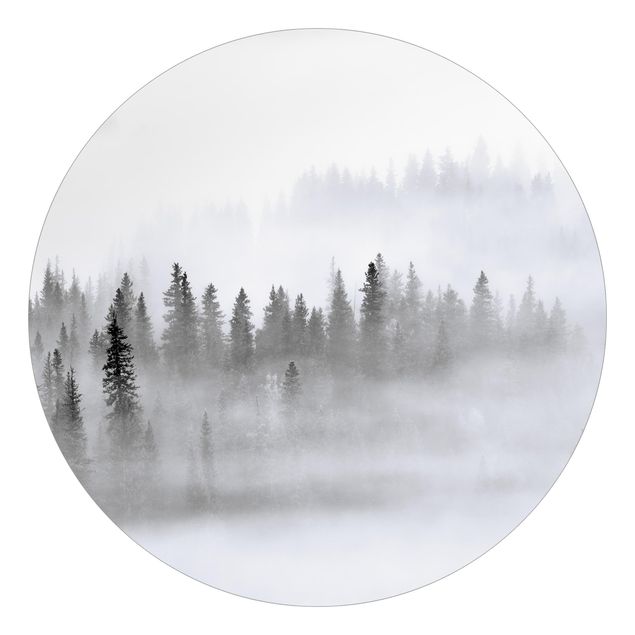 Tapisserie forêt Brouillard Dans La Forêt De Sapins Noir Et Blanc