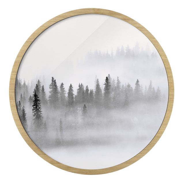 Tableaux encadrés paysage Brouillard Dans La Forêt De Sapins Noir Et Blanc