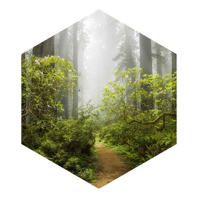 Tableaux de Rainer Mirau Chemin de forêt brumeux