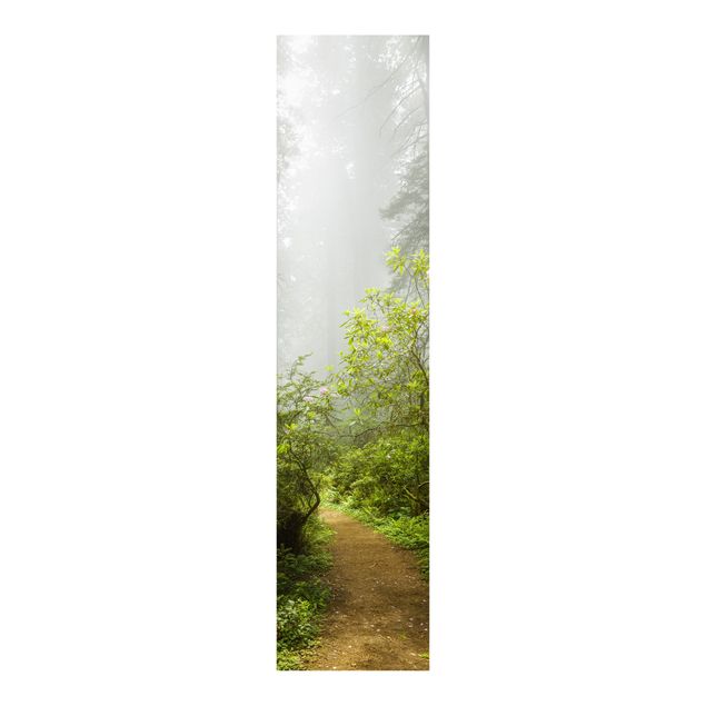 Panneau japonais paysage Chemin de forêt brumeux