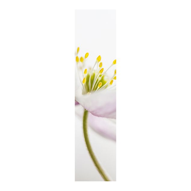 Panneaux coulissants avec fleurs Nemorosa