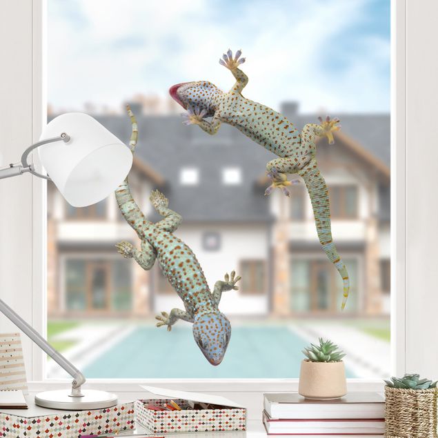 Déco mur cuisine Geckos curieux
