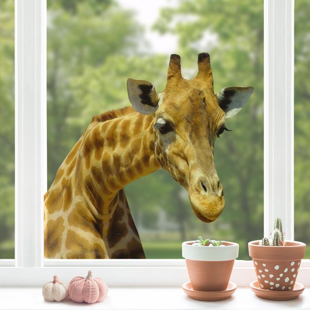Déco chambre bébé Girafe curieuse