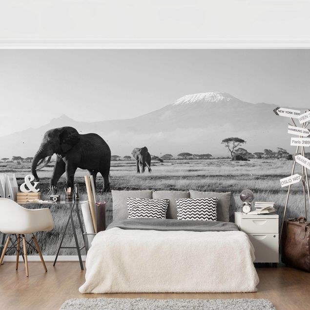 Déco mur cuisine No.287 Éléphant devant le Kilimandjaro au Kenya II