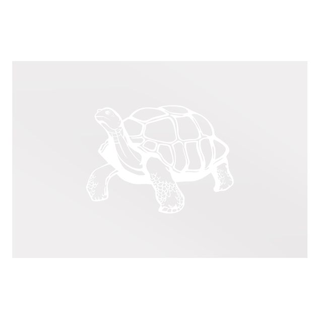 Film pour fenêtres - No.EG11 Tortoise II