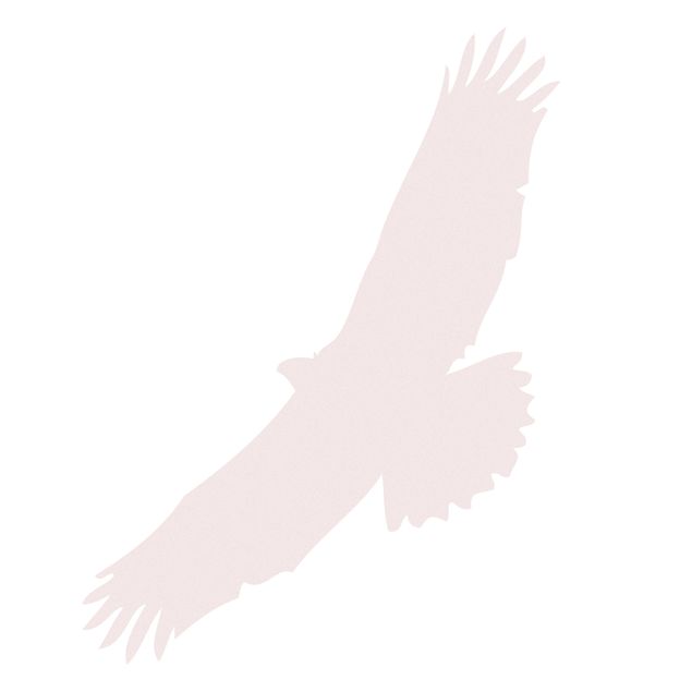 Sticker pour fenêtres - No.UL524 bird of prey
