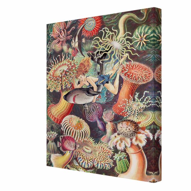 Tableau multicolore Nymphe avec anémone de mer