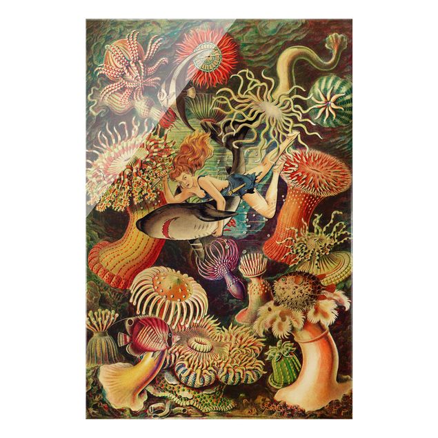 Tableaux multicolore Nymphe avec anémone de mer
