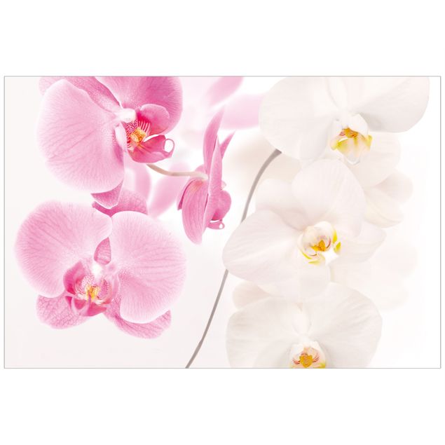 Films autocollants Orchidées délicates