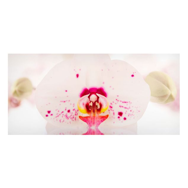 Tableau orchidées Orchidée en pointillés sur l'eau