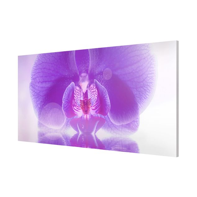 Tableaux magnétiques avec fleurs Orchidée violette sur l'eau