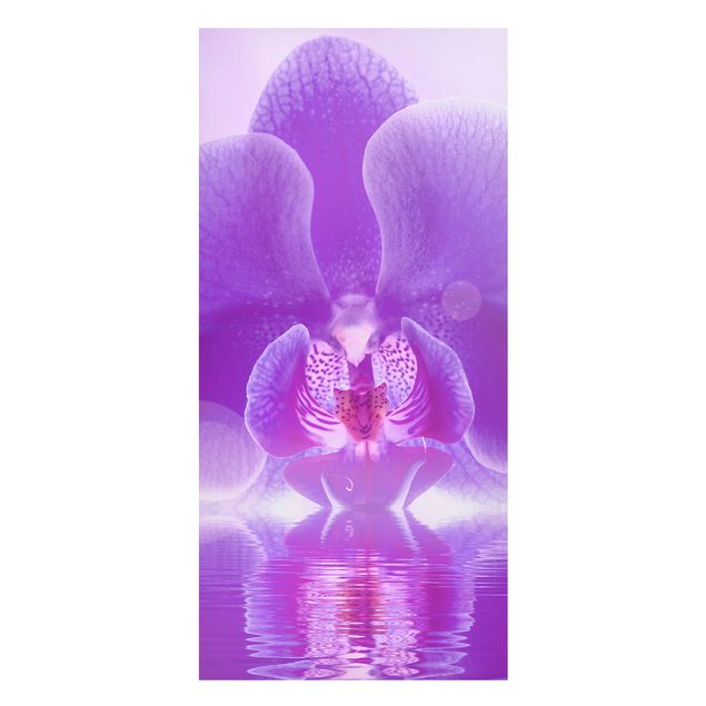 Tableaux orchidées Orchidée violette sur l'eau