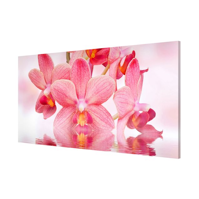 Tableaux magnétiques avec fleurs Orchidée rose clair sur l'eau