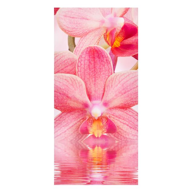 Tableaux orchidées Orchidée rose clair sur l'eau