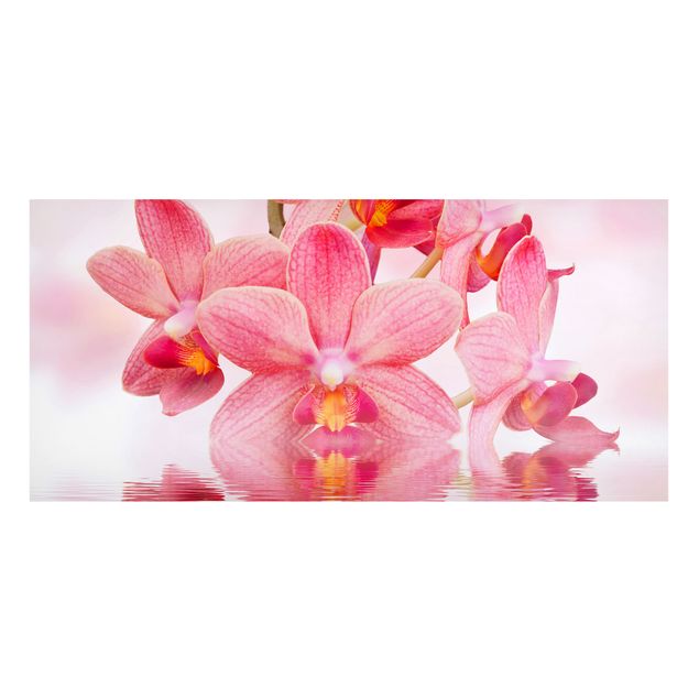 Tableaux orchidées Orchidée rose clair sur l'eau