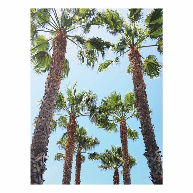 Tableau nature Palm Trees At Venice Beach