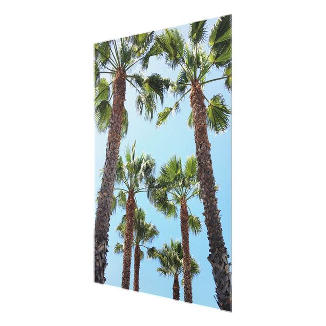 Tableau verre paysage Palm Trees At Venice Beach