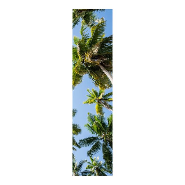 Panneau japonais paysage Canopée de Palmier