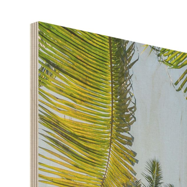 Tableau en bois - Palm Tree Canopy