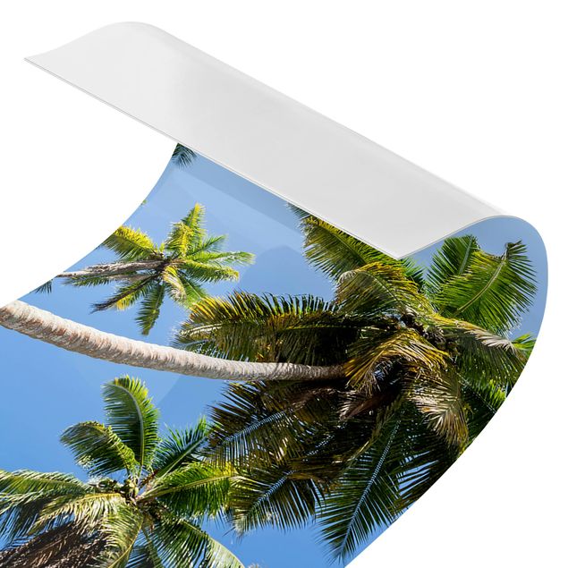 Revêtement mural cuisine - Palm Tree Canopy