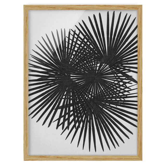 Tableaux modernes Feuilles de palmier en noir et blanc