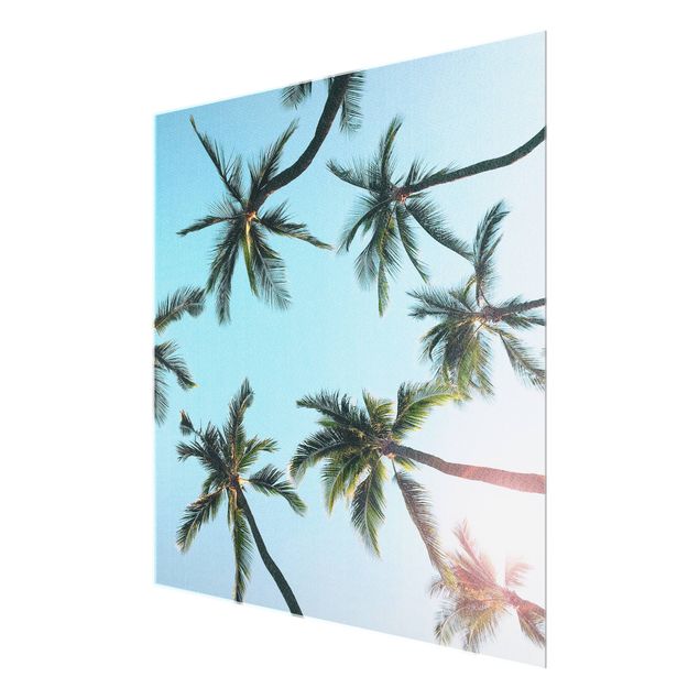 Tableau en verre paysage Palmiers géants dans le ciel