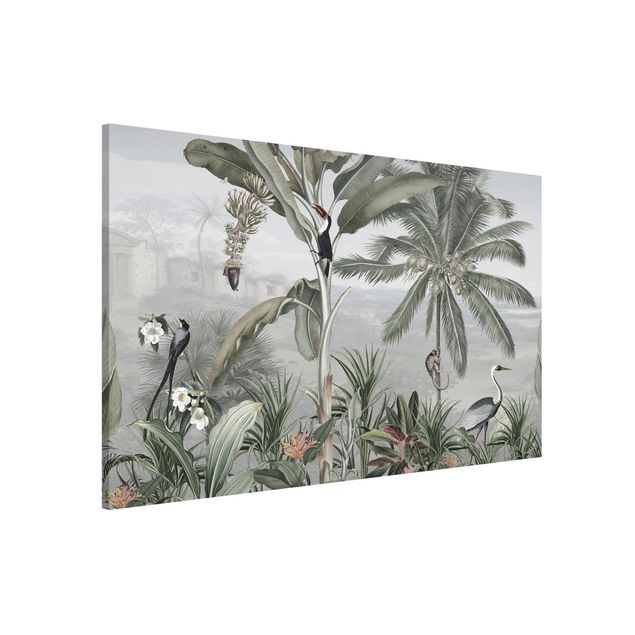 Déco murale cuisine Oiseaux de paradis dans la jungle
