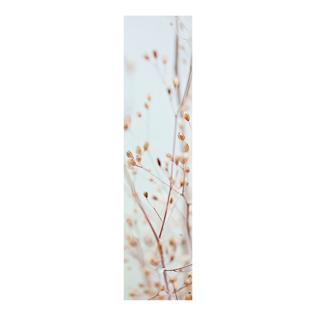 Panneaux coulissants avec fleurs Gemmes au pastel sur une branche de fleurs sauvages