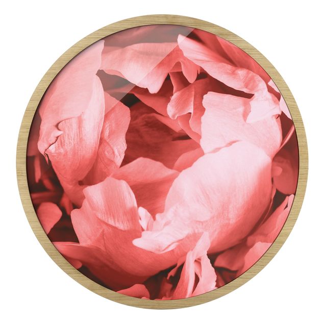 Tableau couleur rose Pivoine Fleur Corail