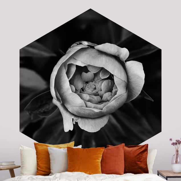 Papier peint fleur rose Pivoines en fleur devant des feuilles noir et blanc