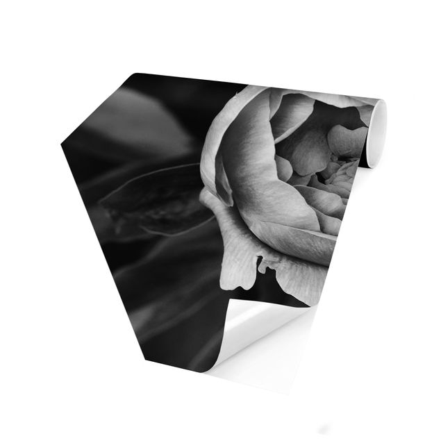 Papier peint panoramique noir et blanc Pivoines en fleur devant des feuilles noir et blanc