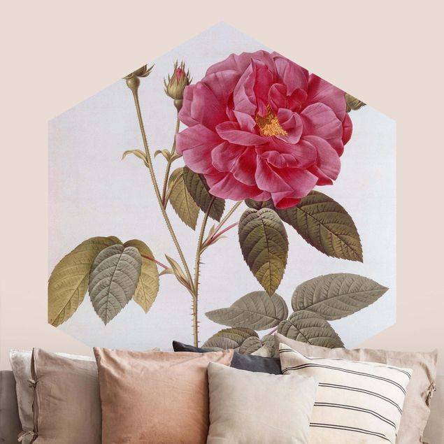 Papier peint fleurs roses Pierre Joseph Redoute - Rose d'apothicaire