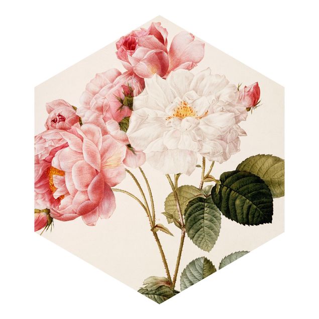 Papier peint rétro Pierre Joseph Redoute - Damascena Rose