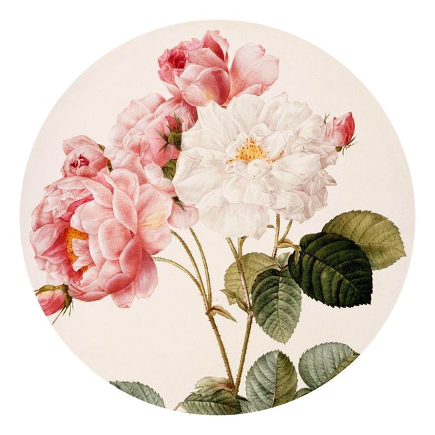 Papier peint moderne Pierre Joseph Redoute - Damascena Rose