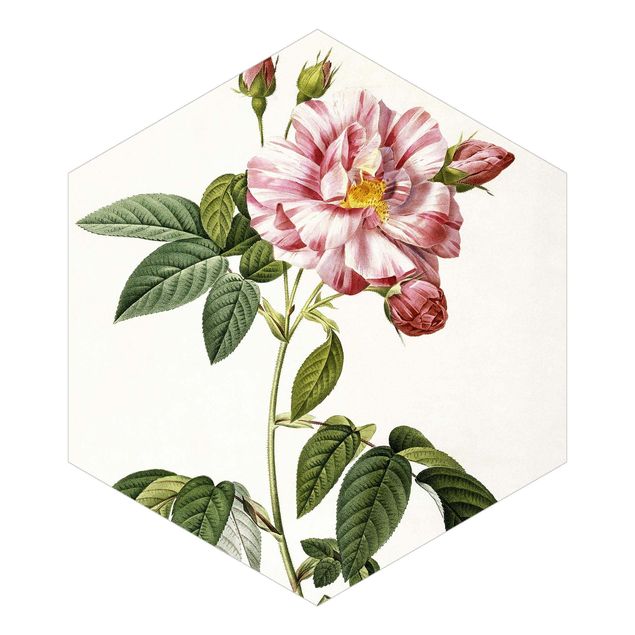 Papier peint vintage Pierre Joseph Redoute - Rose Gallica Rose