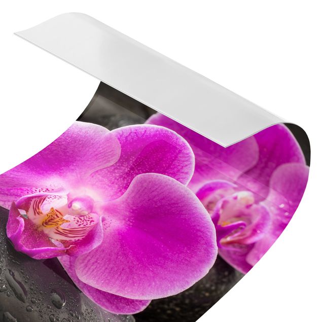 Revêtement mural de douche - Pink Orchid Flower On Stones With Drops