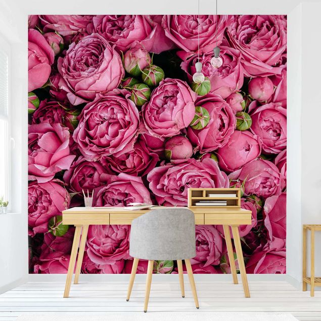 Papier peint fleur rose Pivoines roses