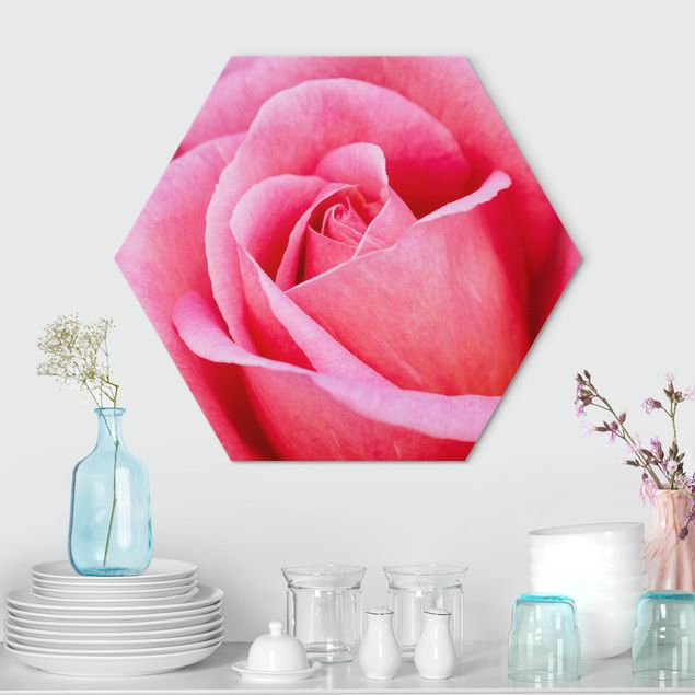 Tableau moderne Pink Rose Flowers Green Backdrop