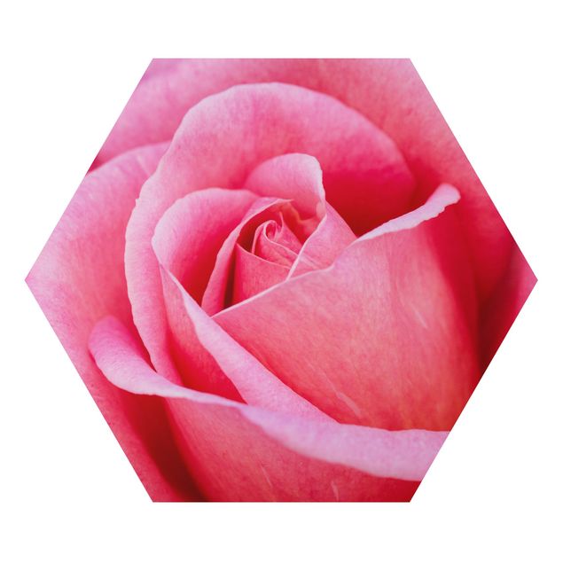 Tableaux de Uwe Merkel Pink Rose Flowers Green Backdrop