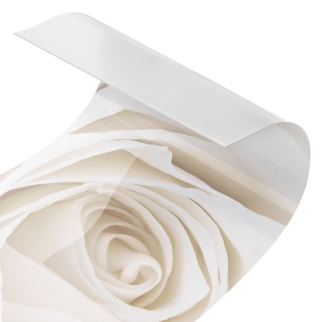 Revêtement mural de douche - Pretty White Rose