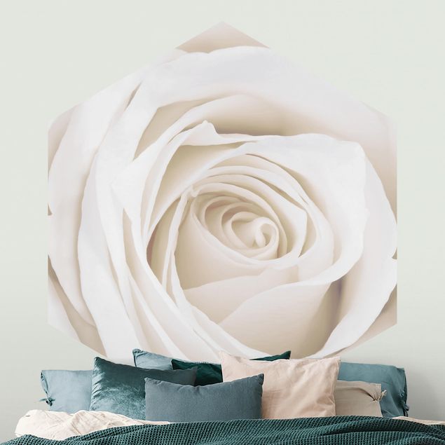 Papier peint roses Jolie Rose Blanche