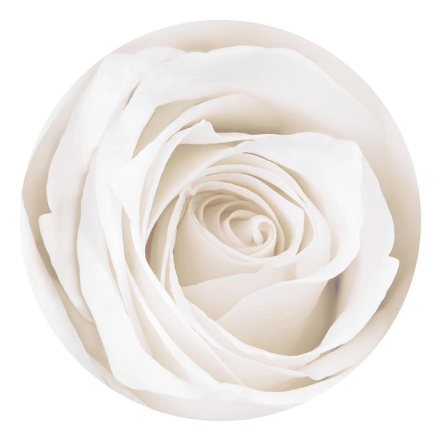 Papier peint fleurs Jolie Rose Blanche