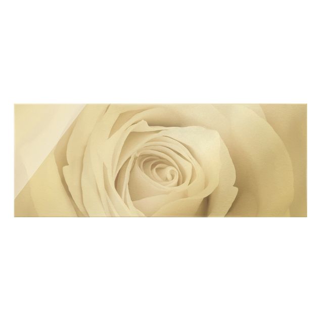 Tableau fleurs Jolie Rose Blanche