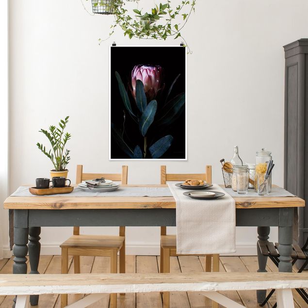 Poster fleurs Protea Portrait