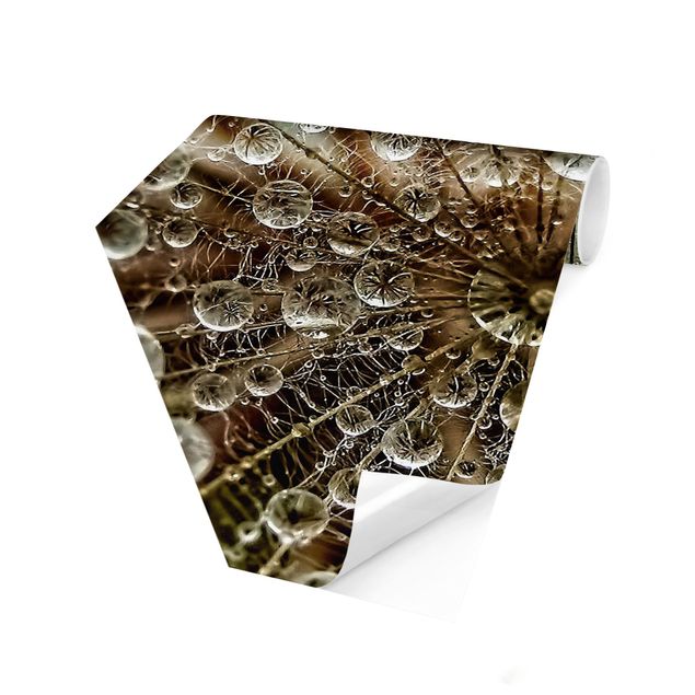 Papiers peintspanoramique hexagonal Pissenlit en automne