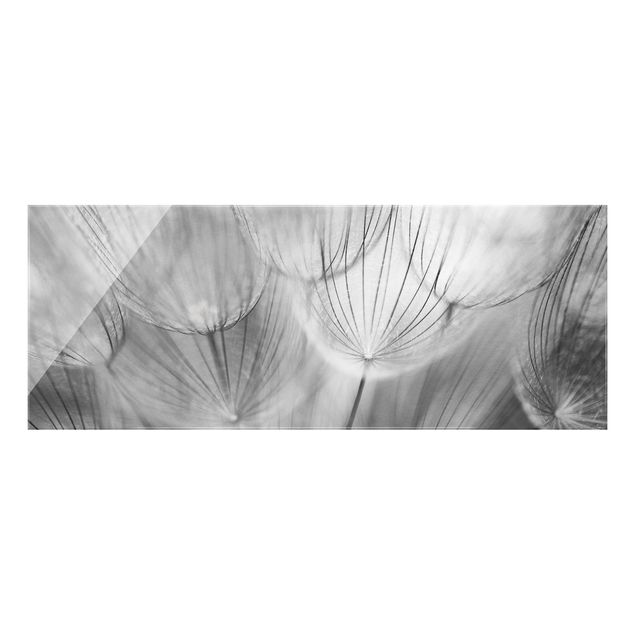 Tableaux moderne Dandelions macro shot in black and white